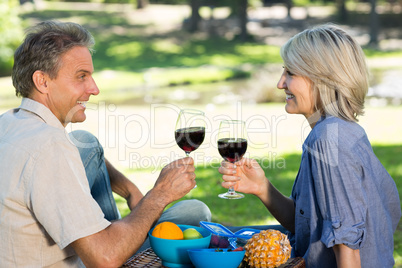 Couple toasting wine in park