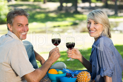 Couple toasting wine glasses in park