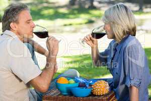 Couple drinking red wine in park