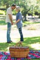 Picnic basket on blanket in park