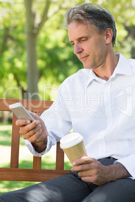 Businessman using mobile phone at park