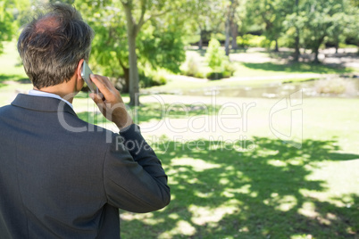 Businessman talking on cellphone