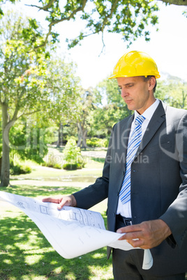 Businessman reading blueprint