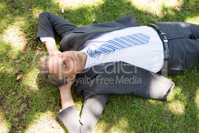 Businessman lying on grass