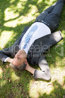 Businessman relaxing on grass