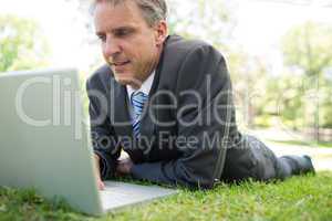 Businessman using laptop in park