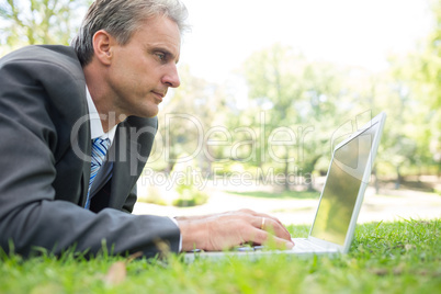 Businessman surfing on laptop in park