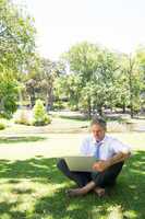 Businessman using laptop at park