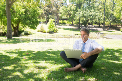 Smiling businessman using laptop at park