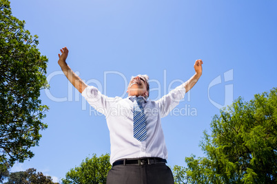 Successful businessman with arms outstretched