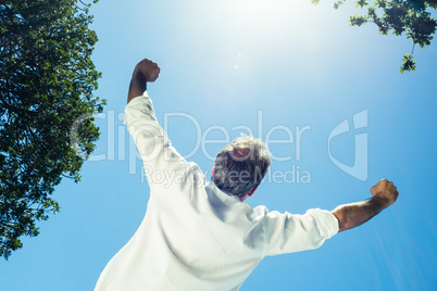 Rear view of businessman with arms outstretched