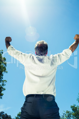 Successful businessman against blue sky