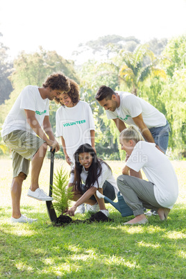 Volunteers planting