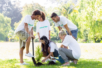 Volunteers planting in park