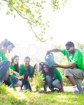 Environmentalists watering plant