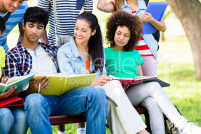 University students studying on bench