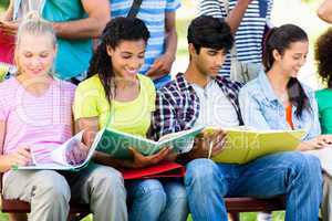 Students studying on bench