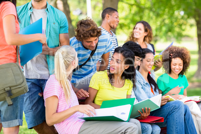 Students studying on campus