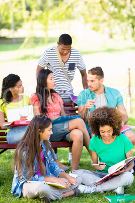 Students studying on college campus