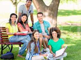 Portrait of students studying at campus