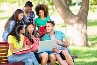 College students studying at campus