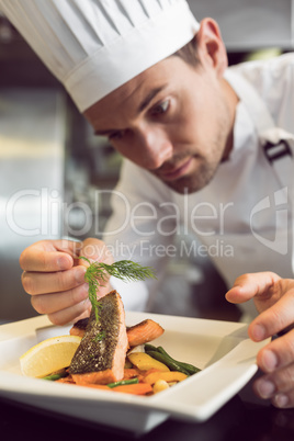 Closeup of a concentrated male chef garnishing food