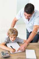 Father assisting boy in solving maths