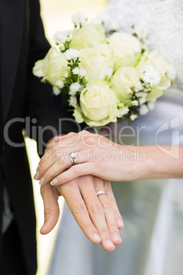 Bride and groom showing wedding rings