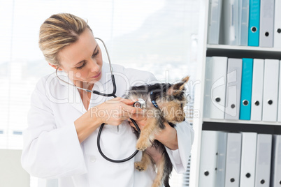 Veterinarian examining dog