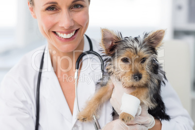 Smiling female vet holding cute puppy