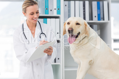 Veterinarian writing prescription for dog