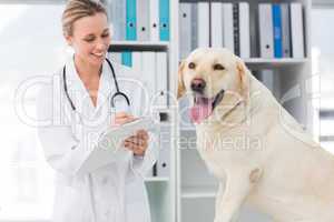 Veterinarian writing prescription for dog
