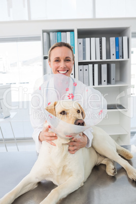 Veterinarian with dog wearing medical collar