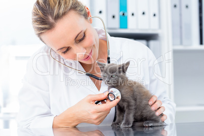 Vet examining kitten with stethoscope