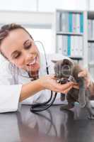 Veterinarian checking kitten with stethoscope