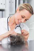 Female veterinarian examining kitten