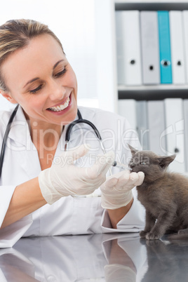 Veterinarian giving cat medicine