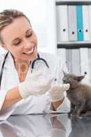 Veterinarian giving cat medicine