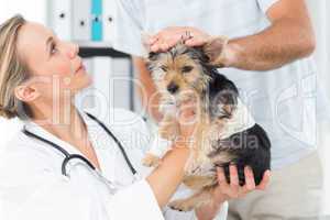 Owner with puppy visiting veterinarian