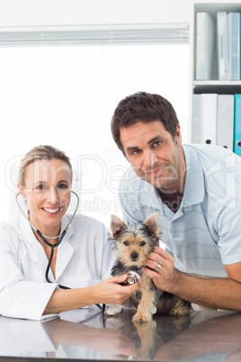 Veterinarian examining puppy with man