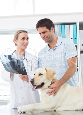 Vet showing Xray of dog to pet owner