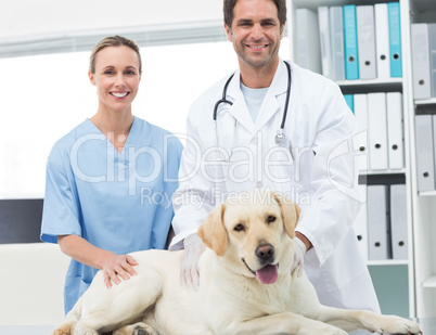 Veterinarians with dog in clinic