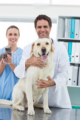 Veterinarians with dog and kitten