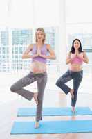 Relaxed pregnant women in yoga class in tree pose