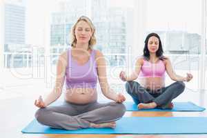 Relaxed pregnant women in yoga class in lotus pose