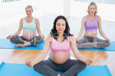 Meditating pregnant women in yoga class sitting on mats in lotus