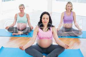 Meditating pregnant women in yoga class sitting on mats in lotus