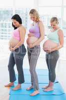 Smiling pregnant women standing in a row looking at bumps