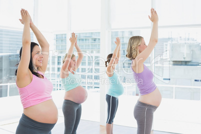 Happy pregnant women in yoga class standing in tree pose