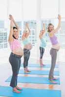 Smiling pregnant women in yoga class standing in tree pose looki